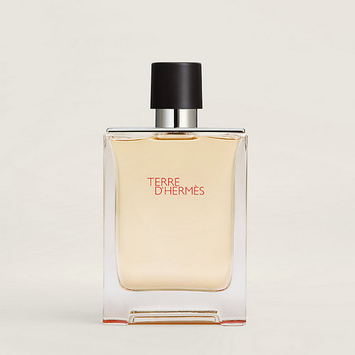 HERMES TERRE D'HERMES EDTV 100 ML 20872/107188V0