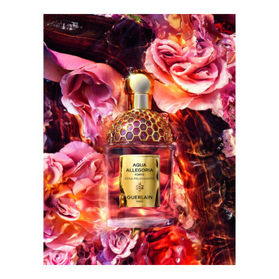 GUERLAIN AQUA ALLEGORIA ROSA PALISSANDRO FORTE EDPV 75ML G014745