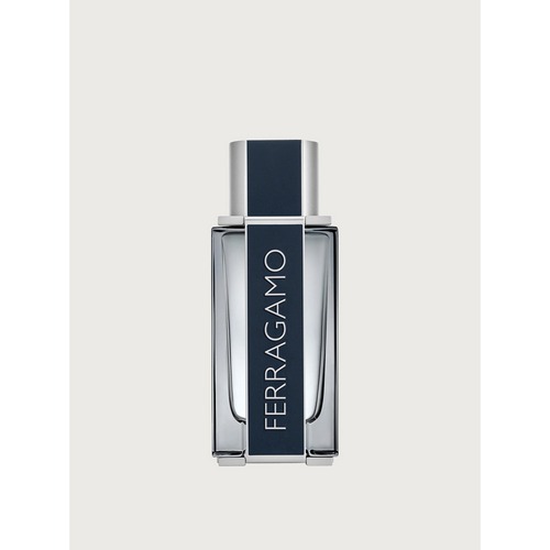 FERRAGAMO FERRAGAMO EDTV 100ML JFE21006C
